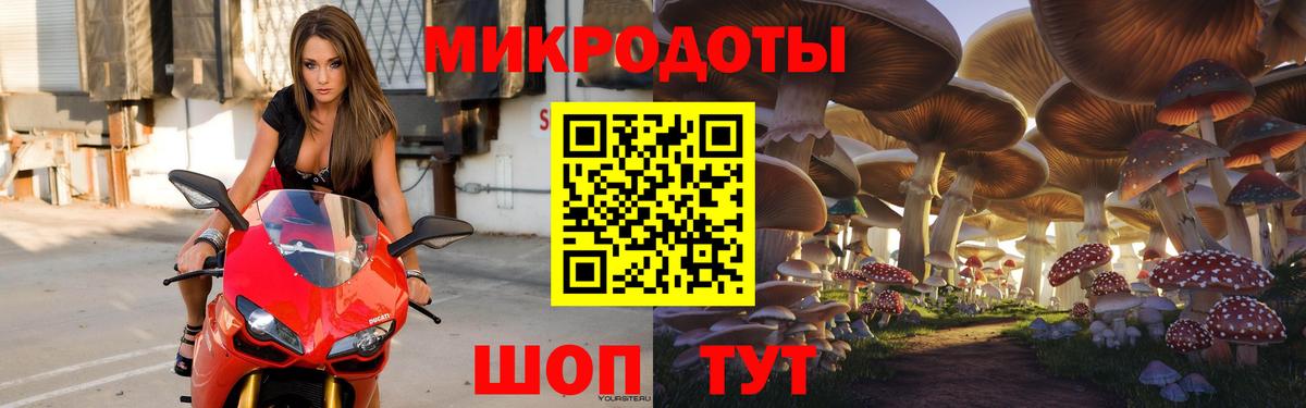 Псилоцибиновые грибы прущие грибы Кыштым